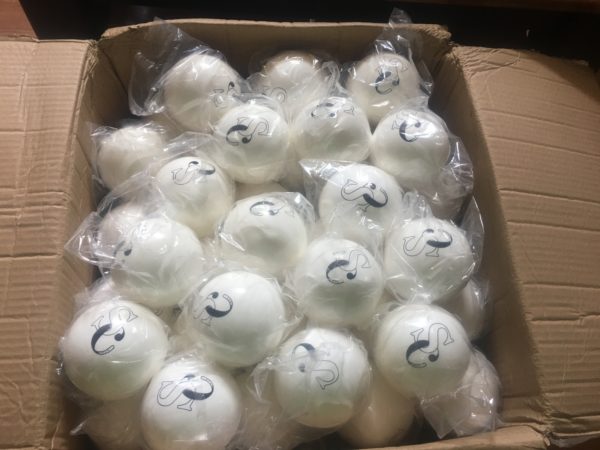 SC Polocrosse Ball - Image 3