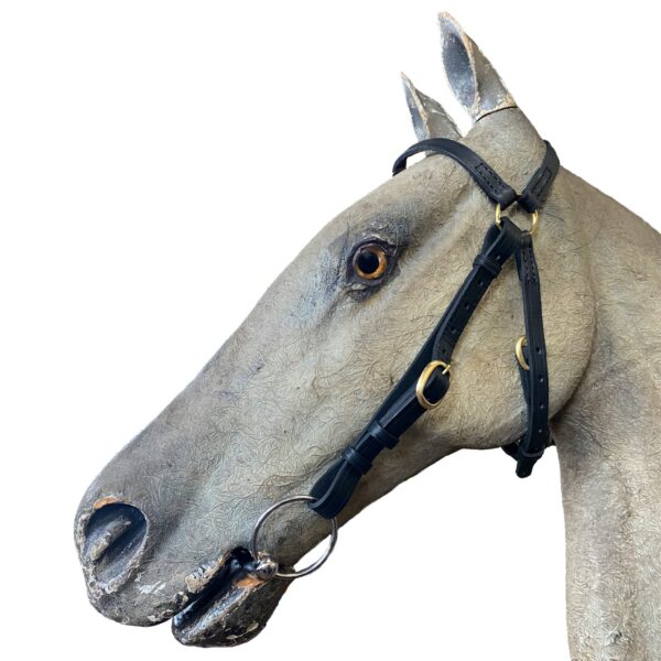 Gordon Shaw Barcoo Bridle