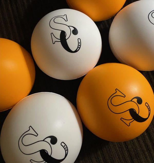 SC Polocrosse Ball - Image 2