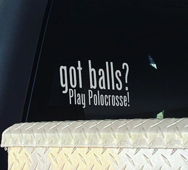 "Got Balls?" Car Decal