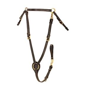 Tory Leather Breastplate