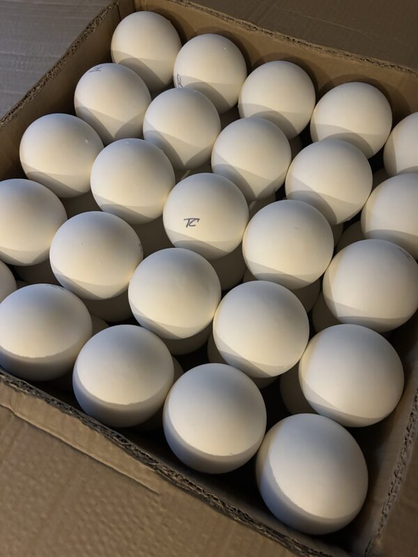 TC Polocrosse Ball