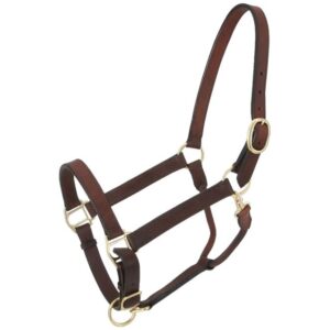 Leather Halter with Snap