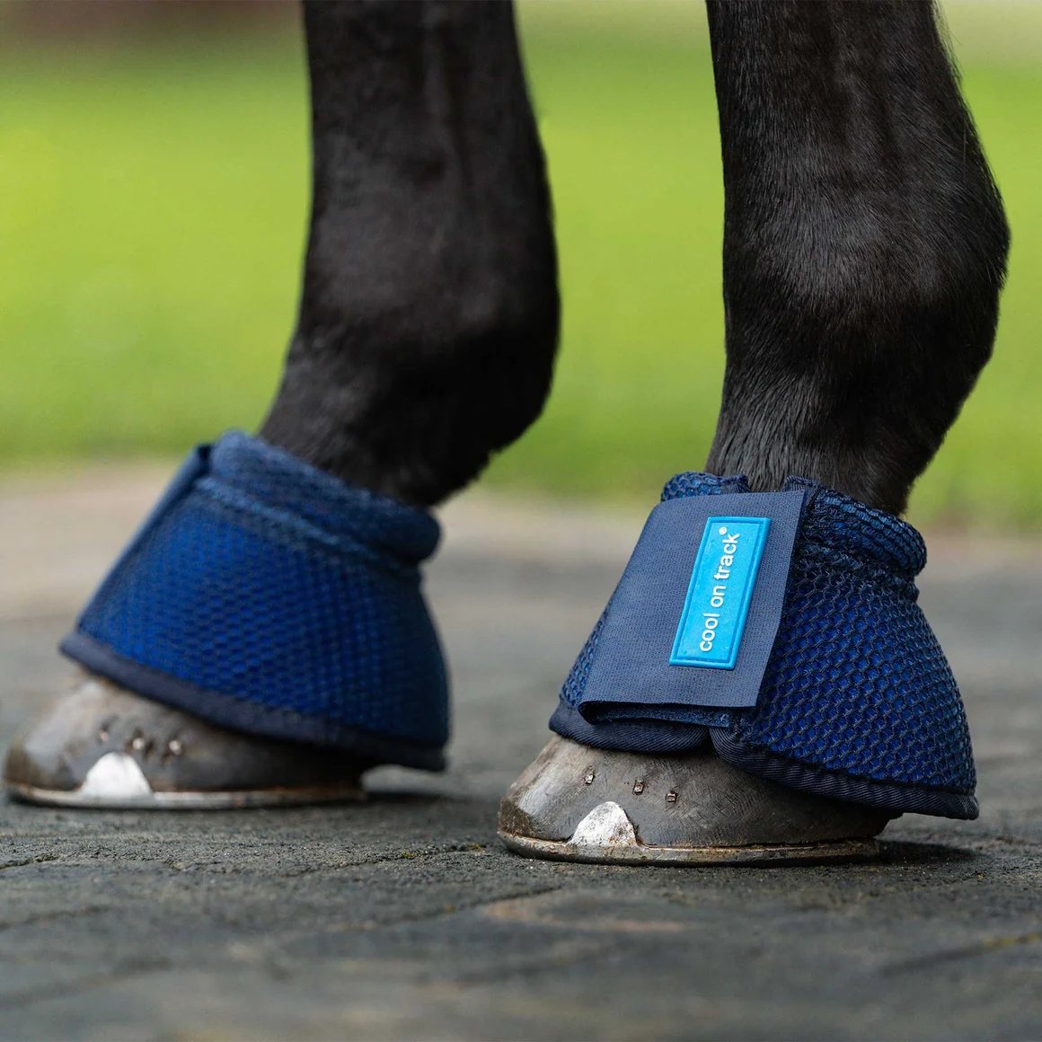 Cool on Track Bell Boots - Image 2